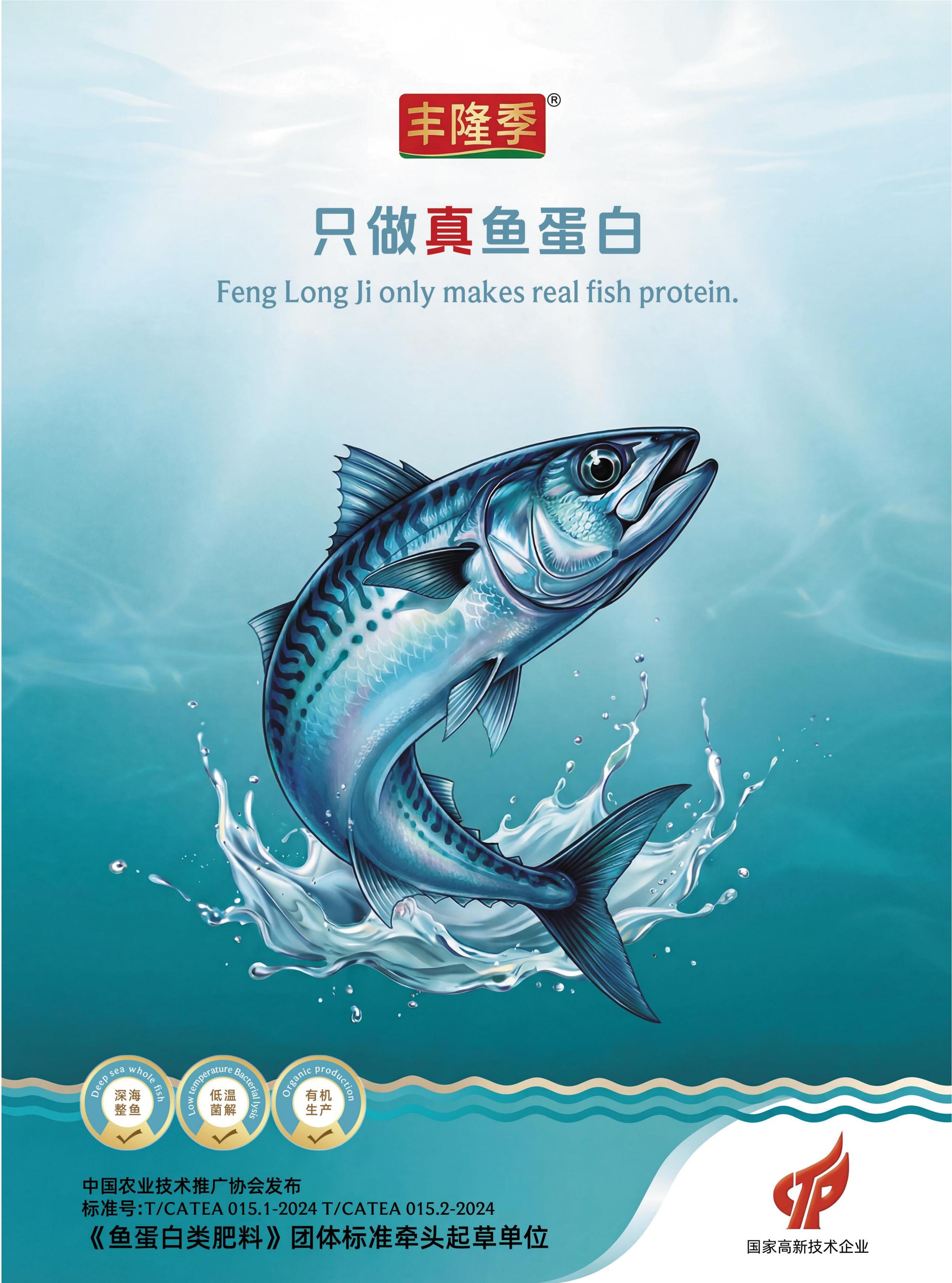 丰隆季鱼蛋白品牌宣传封面