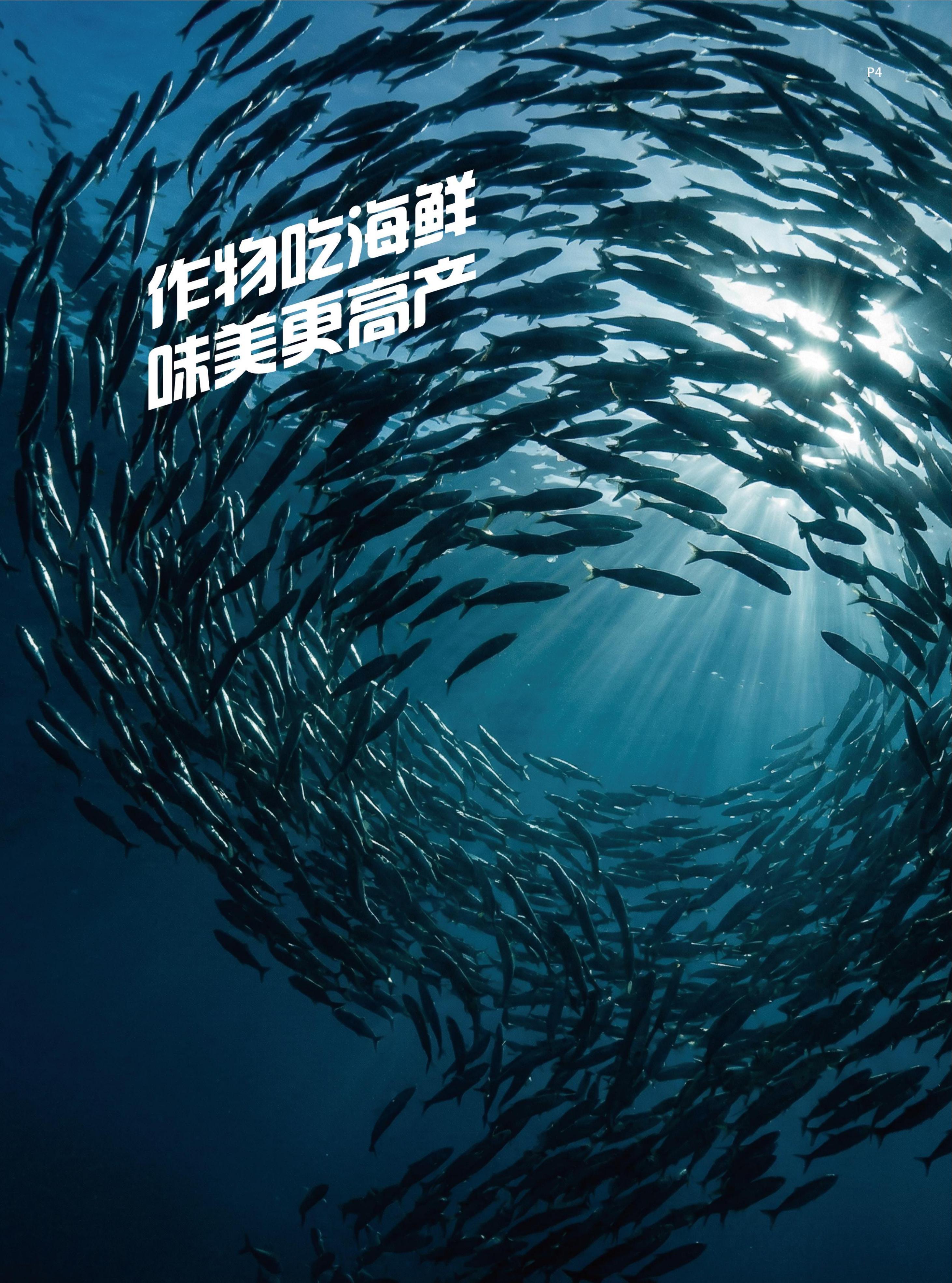 深海鱼群